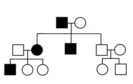 Genetics family tree